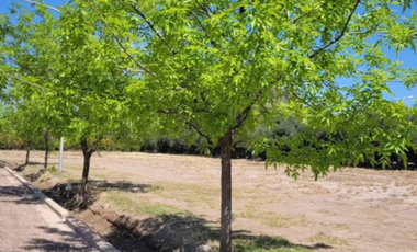 LOTE 517 M2 LOMAS DE CASCIA SAN RAFAEL MENDOZA