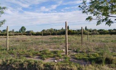 LOTE 517 M2 LOMAS DE CASCIA SAN RAFAEL MENDOZA