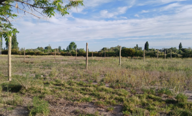 LOTE 517 M2 LOMAS DE CASCIA SAN RAFAEL MENDOZA