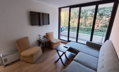 VENDO DEPARTAMENTO  1DORMITORIO EN VIÑA DEL MAR