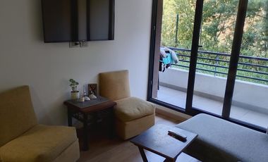 VENDO DEPARTAMENTO  1DORMITORIO EN VIÑA DEL MAR