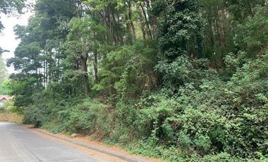 Sitio en Venta en Precioso sitio de 652 m en cerro La Virgen Concepción