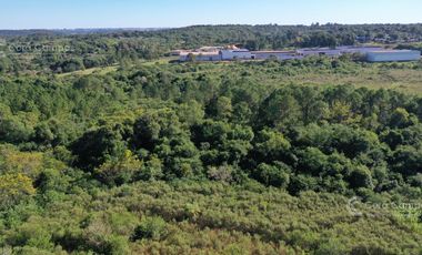 Venta Chacra en Santa Ana con Casa, energía Eléctrica y Perforación