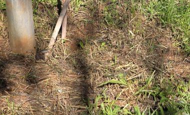 Venta Chacra en Santa Ana con Casa, energía Eléctrica y Perforación