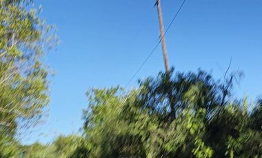 Venta Chacra en Santa Ana con Casa, energía Eléctrica y Perforación