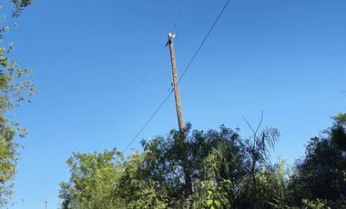 Venta Chacra en Santa Ana con Casa, energía Eléctrica y Perforación