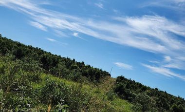 Se vende Chacra de 48 ha en  Apostoles Misiones.  28 ha Con yerba Mate.
