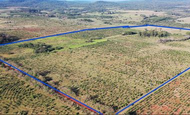 Se vende Chacra de 48 ha en  Apostoles Misiones.  28 ha Con yerba Mate.