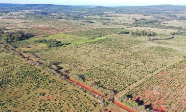 Se vende Chacra de 48 ha en  Apostoles Misiones.  28 ha Con yerba Mate.
