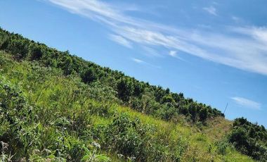 Se vende Chacra de 48 ha en  Apostoles Misiones.  28 ha Con yerba Mate.