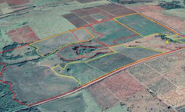 Se vende Chacra de 48 ha en  Apostoles Misiones.  28 ha Con yerba Mate.