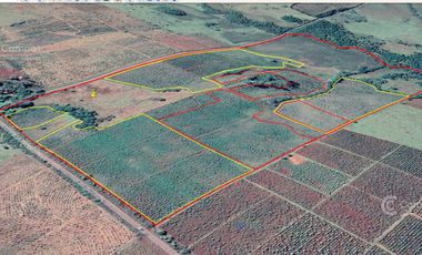 Se vende Chacra de 48 ha en  Apostoles Misiones.  28 ha Con yerba Mate.