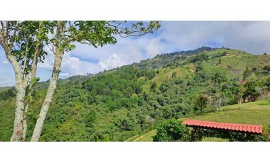 FINCA  EN VENTA MONTEBELLO ANTIOQUIA VEREDA EL CAUNZAL