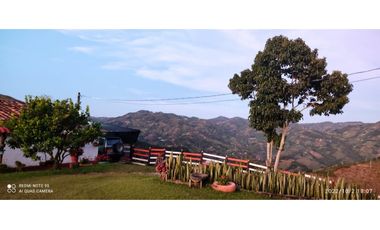 FINCA  EN VENTA MONTEBELLO ANTIOQUIA VEREDA EL CAUNZAL