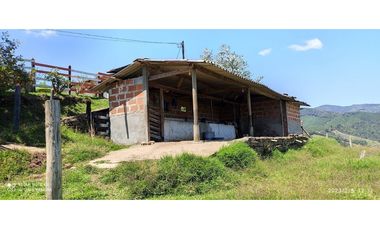 FINCA  EN VENTA MONTEBELLO ANTIOQUIA VEREDA EL CAUNZAL