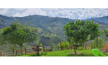 FINCA  EN VENTA MONTEBELLO ANTIOQUIA VEREDA EL CAUNZAL