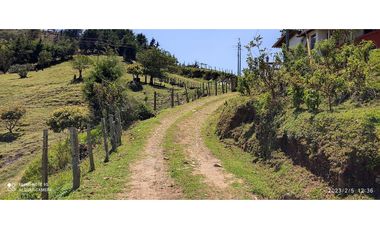 FINCA  EN VENTA MONTEBELLO ANTIOQUIA VEREDA EL CAUNZAL