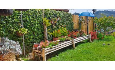 FINCA  EN VENTA MONTEBELLO ANTIOQUIA VEREDA EL CAUNZAL