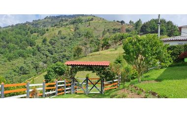 FINCA  EN VENTA MONTEBELLO ANTIOQUIA VEREDA EL CAUNZAL