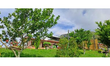 FINCA  EN VENTA MONTEBELLO ANTIOQUIA VEREDA EL CAUNZAL