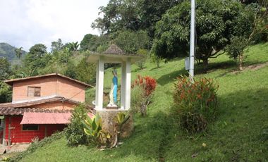 FINCA EN VENTA TITIRIB ANTIOQUIA SECTOR EL VOLCN