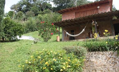 FINCA EN VENTA TITIRIB ANTIOQUIA SECTOR EL VOLCN