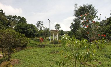 FINCA EN VENTA TITIRIB ANTIOQUIA SECTOR EL VOLCN