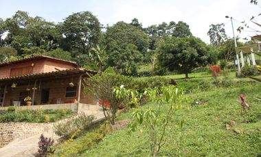 FINCA EN VENTA TITIRIB ANTIOQUIA SECTOR EL VOLCN