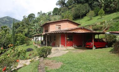 FINCA EN VENTA TITIRIB ANTIOQUIA SECTOR EL VOLCN