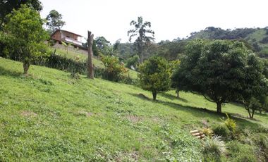 FINCA EN VENTA TITIRIB ANTIOQUIA SECTOR EL VOLCN