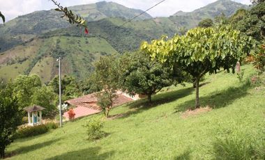 FINCA EN VENTA TITIRIB ANTIOQUIA SECTOR EL VOLCN