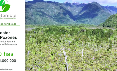 TERRENO CON ACCESO A RÍO PALENA EN VENTA