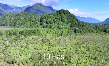 TERRENO CON ACCESO A RÍO PALENA EN VENTA