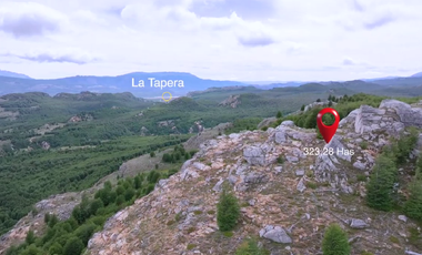 OPORTUNIDAD 323 HAS RUTA LA TAPERA