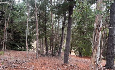 SE VENDE EXCLUSIVO TERRENO EN PUNTA DE LOBOS, PICHILEMU