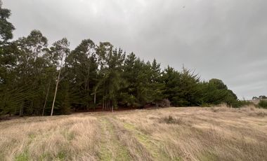 SE VENDE EXCLUSIVO TERRENO EN PUNTA DE LOBOS, PICHILEMU