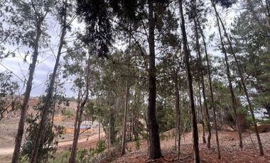 SE VENDE EXCLUSIVO TERRENO EN PUNTA DE LOBOS, PICHILEMU