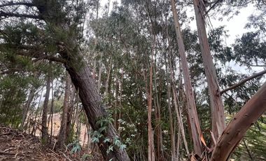 SE VENDE EXCLUSIVO TERRENO EN PUNTA DE LOBOS, PICHILEMU