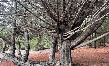 SE VENDE EXCLUSIVO TERRENO EN PUNTA DE LOBOS, PICHILEMU