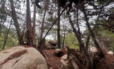 SE VENDE EXCLUSIVO TERRENO EN PUNTA DE LOBOS, PICHILEMU