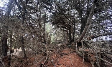 SE VENDE EXCLUSIVO TERRENO EN PUNTA DE LOBOS, PICHILEMU