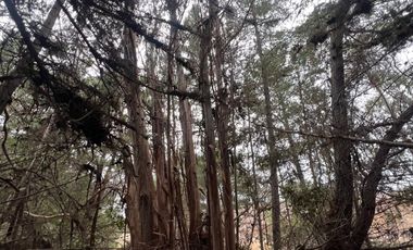 SE VENDE EXCLUSIVO TERRENO EN PUNTA DE LOBOS, PICHILEMU