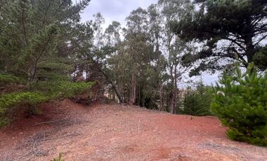 SE VENDE EXCLUSIVO TERRENO EN PUNTA DE LOBOS, PICHILEMU