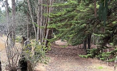 SE VENDE EXCLUSIVO TERRENO EN PUNTA DE LOBOS, PICHILEMU