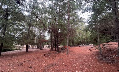 SE VENDE EXCLUSIVO TERRENO EN PUNTA DE LOBOS, PICHILEMU