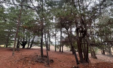 SE VENDE EXCLUSIVO TERRENO EN PUNTA DE LOBOS, PICHILEMU