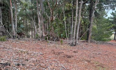 SE VENDE EXCLUSIVO TERRENO EN PUNTA DE LOBOS, PICHILEMU