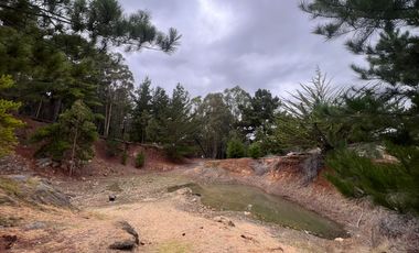 SE VENDE EXCLUSIVO TERRENO EN PUNTA DE LOBOS, PICHILEMU