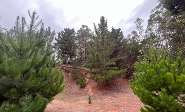 SE VENDE EXCLUSIVO TERRENO EN PUNTA DE LOBOS, PICHILEMU
