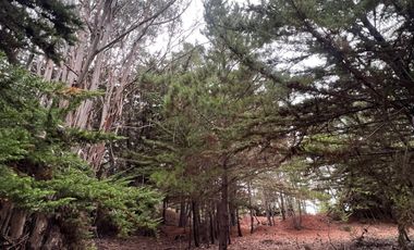 SE VENDE EXCLUSIVO TERRENO EN PUNTA DE LOBOS, PICHILEMU